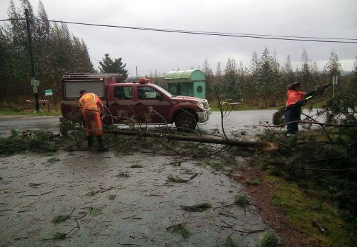 O temporal deixa liñas de tendido eléctrico e telefónico partidas e numerosas árbores caídas nas estradas e pistas de Oroso